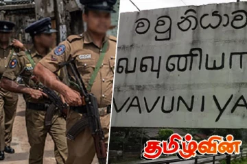 அனுமதியின்றி மாடுகளை ஏற்றிவந்த வாகனம் பொலிஸாரால் மடக்கிப் பிடிப்பு