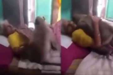 படுக்கையில் கிடந்த உணவளித்த பாட்டி! கண்ணீர் வரவழைத்த குரங்கின் பாசப்போராட்டம்