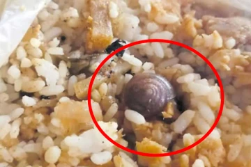 வைத்தியசாலையில் வாங்கிய சாப்பாடு பொதியில் காத்திருந்த விருந்தாளி