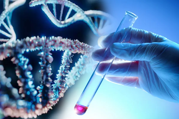 ஒருவரின் ஆயுட்காலத்தை தீர்மானிப்பது எது தெரியுமா! ஆய்வில் புதிய தகவல் | Person Lifespan Is Determined 50 Percent Genetics