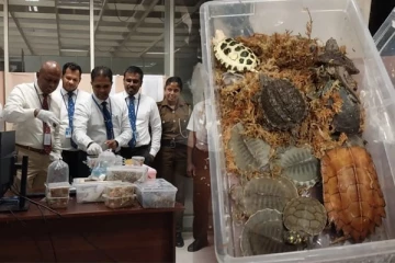 கட்டுநாயக்க விமான நிலையத்தில் சிக்கிய இளம் தம்பதி