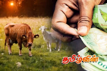 கால்நடைகளுக்கு காப்பீடு வழங்கும் செயற்றிட்டம் தொடர்பில் வெளியான அறிவிப்பு