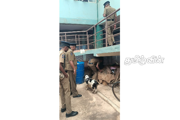 பருத்தித்துறையில் மின் துண்டிப்பு வேளையில் திடீர் சுற்றிவளைப்பு! இருவர் சிக்கினர் | Sudden Encirclement During The Power Outage