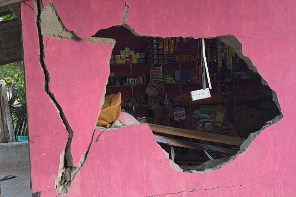 தமிழர் பகுதியில் பலசரக்குக் கடைக்குள் புகுந்து பெரும் அடாவடி செய்த காட்டுயானை | Wild Elephant Wreaks Havoc In Tamil Shop