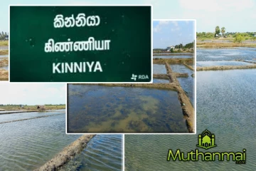 உப்புச்செய்கை பாதிப்பினால் 300 குடும்பங்களுக்கு ஏற்பட்டுள்ள வாழ்வாதார நெருக்கடி