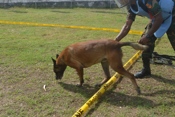 வடக்கில் கண்ணி வெடிகளை அகற்ற ஜப்பான் மீண்டும் உதவி | Japan Again Helps Clear Landmines In North