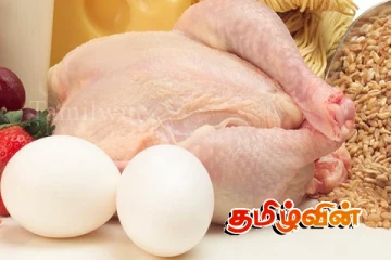 முட்டை - கோழி இறைச்சி விலைக்குறைப்பு தொடர்பில் வெளியாகியுள்ள தகவல்