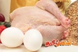 முட்டை - கோழி இறைச்சி விலைக்குறைப்பு தொடர்பில் வெளியாகியுள்ள தகவல்