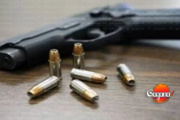 ලොකු පැටී මරන්න සඟවා තිබූ ගිනි අවියක් ඇතුළු ආයුධ තොගයක් මාට්ටු