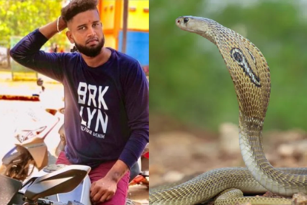 தமிழர் பகுதியில் சோகம்; இளைஞர் பரிதாப உயிரிழப்பு | Snake Bite Youth Tragic Death