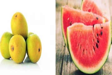 மாம்பழம், தர்பூசணி… ஃபிரிட்ஜில் ஏன் வைக்கக் கூடாது தெரியுமா?