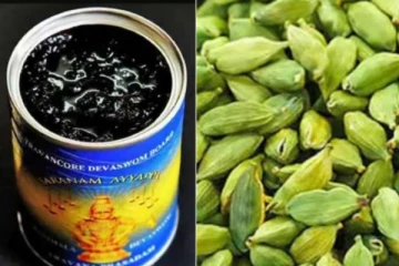 "சபரிமலை அரவணையில் பூச்சிமருந்து கலந்த ஏலக்காய்"!! அதிரடியாக உத்தரவிட்ட உயர்நீதிமன்றம்!!