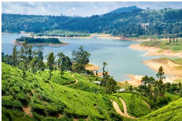 இக்கட்டான நேரத்தில் இலங்கைக்கு கிடைத்த பாரிய வெற்றி - செய்திகளின் தொகுப்பு (Video)