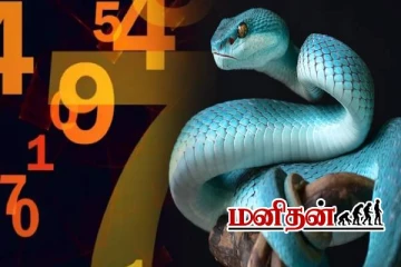 Numerology: போன ஜென்மத்தில் நீங்க யாருன்னு தெரிஞ்சுக்கணும்? அப்போ பிறந்த தேதி சொல்லுங்க