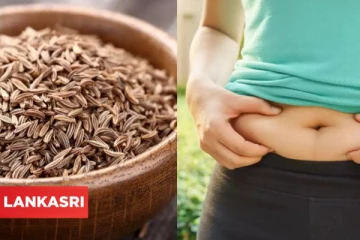 தினமும் இதை 1 டீஸ்பூன் சாப்பிடுங்க... 15 கிலோ வரை உடல் எடையை குறைக்க முடியும்!