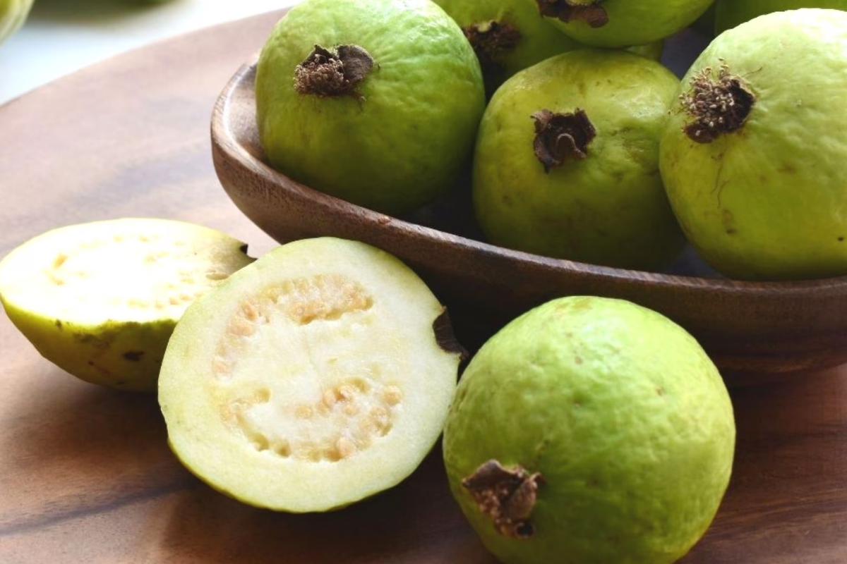 எளிதில் கிடைக்கும் கொய்யா பழத்தில் இவ்வளவு நன்மையா! | Amazing Health Benefits Of Guava Revealed