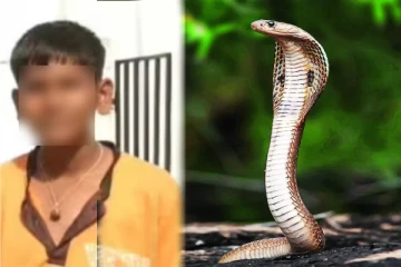 2 மாதங்களில் 9 முறை கடி; சிறுவனை விடாமல் துரத்தும் பாம்பு - என்ன நடக்குமோ என்ற பயத்திலேயே வாழும் குடும்பம்!