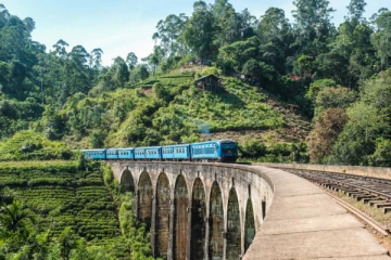 எல்ல 9 வளைவு பாலத்தில் இந்திய சுற்றுலாப் பயணிக்கு காத்திருந்த அதிர்ச்சி