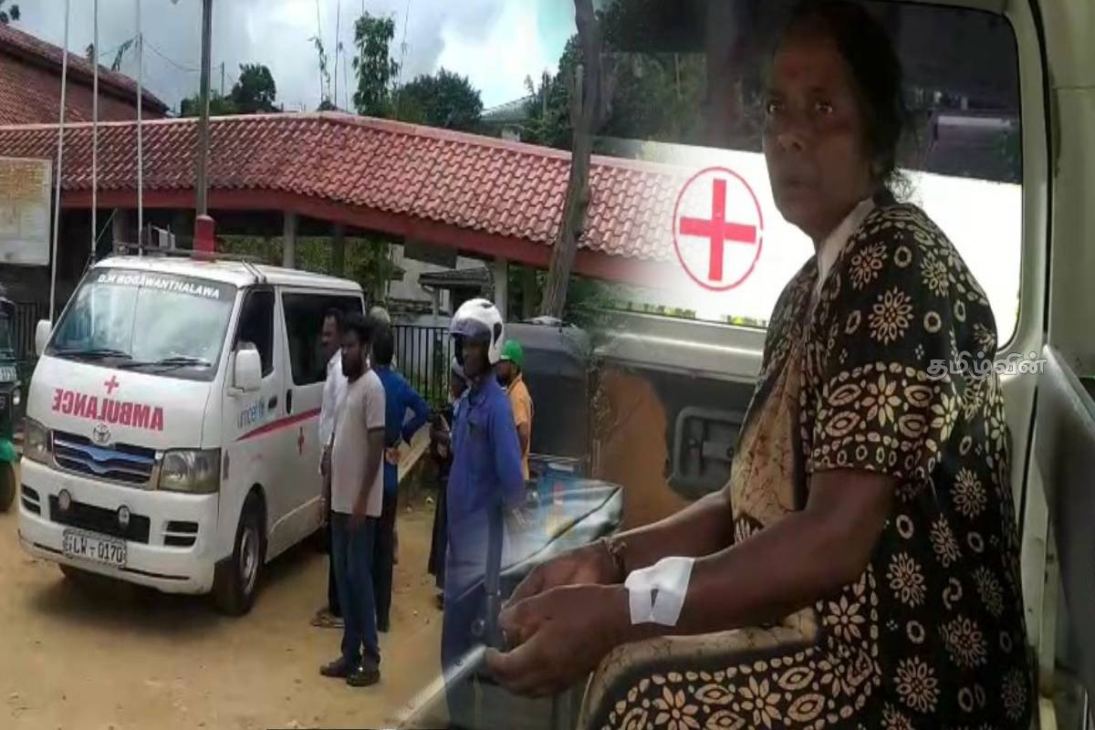 புதருக்குள் இருந்து திடீரென பாய்ந்த சிறுத்தை - தேயிலைத் தோட்ட தொழிலாளி படுகாயம் | Female Employee Seriously Injured Leopard Attack புதருக்குள் இருந்து திடீரென பாய்ந்த சிறுத்தை - தேயிலைத் தோட்ட தொழிலாளி படுகாயம் | Female Employee Seriously Injured Leopard Attack