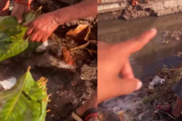 சாக்கடை தண்ணீரில் வெற்றிலை கழுவிய வியாபாரி - வைரலாகும் காணொளி | The Trader Washes Betel Leaves In Sewer Water