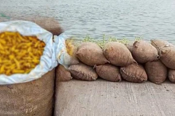 නීති විරෝධි ලෙස මෙරටට රැගෙන ආ බවට සැක වියළි කහ තොගයක් නාවික හමුදා භාරයට