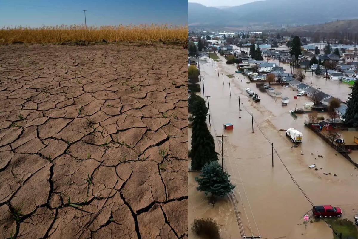 எல் நினோவால் கனடாவில் ஏற்படவிருக்கும் தாக்கம் | Canada Winter Could Be Affect By El Nino