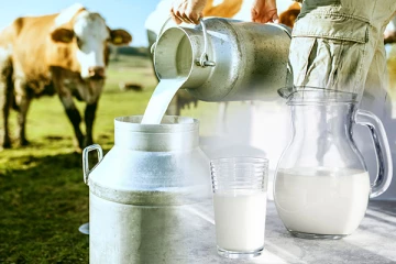 கொழும்பில் பசும்பால் விநியோகம் ஆரம்பம்