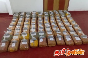 யாழில் கேரள கஞ்சாவுடன் மூவர் கைது!