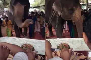 කන්න දීපු අත සපා කන මිනිසුන් අතර කෙලෙහි ගුණ දත් තිරිසන් ගති.(VIDEO)