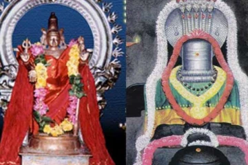 சகல நோய்களையும் குணப்படுத்தும் வைத்தீஸ்வரன் கோயில் பிரசாதம்