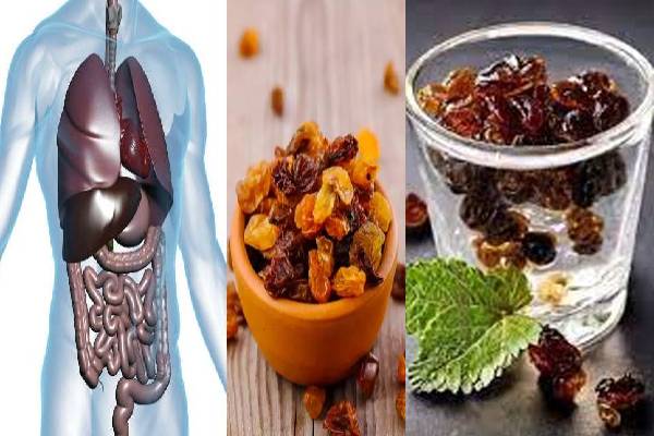 ஊற வைத்த உலர் திராட்சை தண்ணீர் குடிங்க... இந்த பிரச்சினைகள் கிட்டவே வராது | Is Raisin Water Good For The Heart