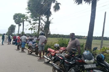 தமிழர் பகுதியொன்றில் அதிரடி காட்டிய இளைஞர்கள் ; மாடு திருட வந்தவர்களுக்கு நேர்ந்த கதி