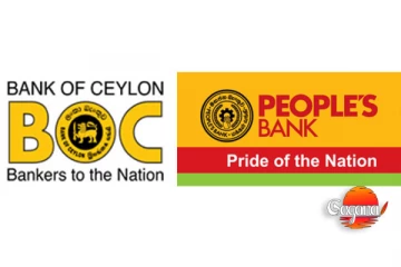 ලංකා බැංකුවෙන් සහ මහජන බැංකුවෙන් ණය ලබා ගෙන රු. බිලියන 700ක පොලු තියලා - පාඨලී