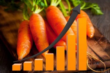 2 ஆயிரம் ரூபாவிற்கும் மேல் உயர்ந்த கரட்டின் விலையில் திடீர் மாற்றம்