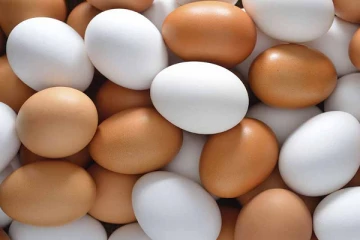 முட்டையின் நிர்ணய விலை வெளியானது