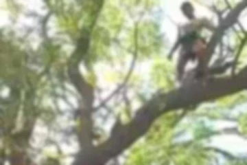 மாணவியை வெளியேற்றிய அதிபர்....மரத்தில் ஏறி போராடிய  தந்தை