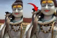 சிவன் கழுத்தில் சுற்றியிருந்த விஷ பாம்பு - வைரலாகும் காணொளி