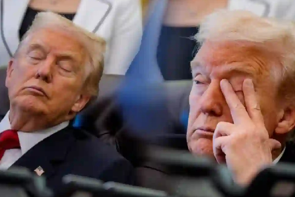 donald trump donald trump