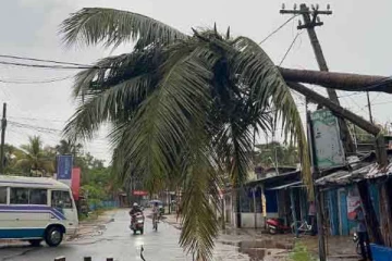 வவுனியாவில் மின்சாரசபை ஊழியர்கள் மெத்தனம்; ஆபத்தான நிலையில் மக்கள் பயணம்