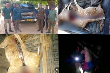 යාල ජාතික වනෝද්‍යානයේ සතුන් දඬයමේ නිරතවූ දඬයක්කරුවන් කොටු කරගත් මෙහෙයුම..සංවේදී ඡායාරූප සහිතයි(PHOTOS)