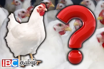 கோழி ஏற்றுமதிக்கு தடை விதித்துள்ள நாடு : எது தெரியுமா !