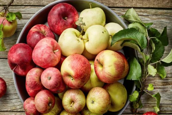 ஆப்பிள் சாப்பிட்டால் மஞ்சள் காமாலை வராதா? வீரியத்தை குறைக்க ஒரு டிப்ஸ் | Jaundice Is Not A Seasonal Disease Daily Habits