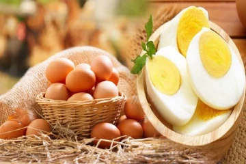 முட்டை இறக்குமதிக்கு அனுமதி