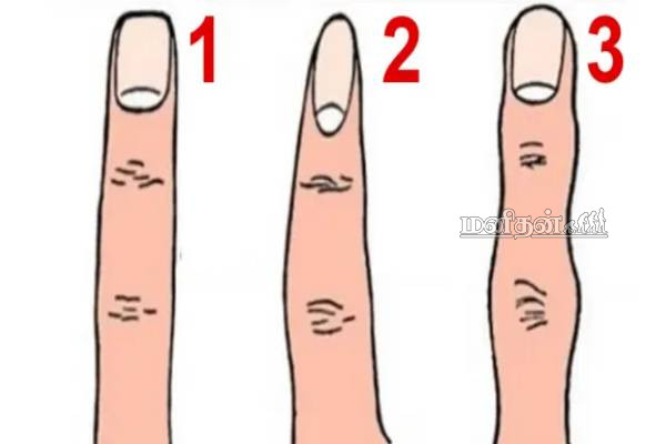 ரகசியங்களை புட்டு புட்டு வைக்கும் ஆள்காட்டி விரல்.. நீங்க எந்த டைப்-ன்னு சொல்லுங்க | Personality Test Your Index Finger Shape ரகசியங்களை புட்டு புட்டு வைக்கும் ஆள்காட்டி விரல்.. நீங்க எந்த டைப்-ன்னு சொல்லுங்க | Personality Test Your Index Finger Shape