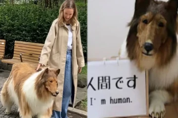 ரூ.12 லட்சம் செலவில் நாயாக மாறிய மனிதர் - 'நரியாக மாற வேண்டும்' என விருப்பம்!