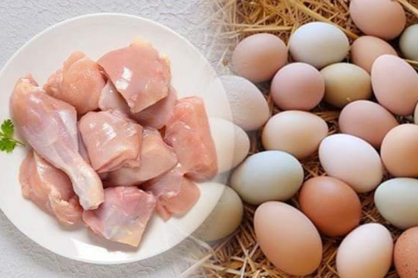 எகிறிச் செல்லும் கோழி இறைச்சி, முட்டை விலைகள் | Poultry Egg Prices Increase