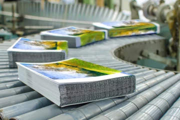 வீழ்ச்சியின் விளிம்பில்  இலங்கையின் முக்கிய  தொழில்!