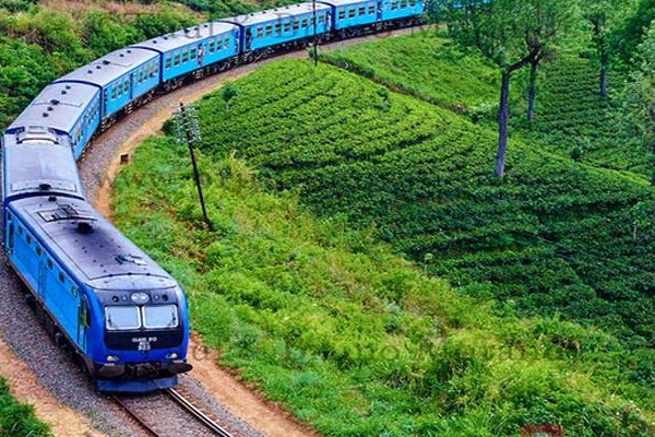 300 மில்லியன் டொலர் வரையில் சேதம்..! வடக்கு - கிழக்கு தொடருந்து சேவை ஸ்தம்பிதம் | Damage Up To 300 Million North Eastern Railway 300 மில்லியன் டொலர் வரையில் சேதம்..! வடக்கு - கிழக்கு தொடருந்து சேவை ஸ்தம்பிதம் | Damage Up To 300 Million North Eastern Railway