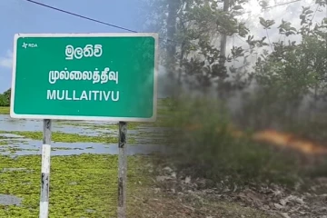 முல்லைத்தீவில் ஏற்பட்ட தீ பரவல்: தீக்கிரையாகிய தேக்கங்காடு