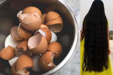 முடி வளர்ச்சியை பல மடங்கு அதிகரிக்கும் முட்டை ஓடு - எப்படி பயன்படுத்துவது?